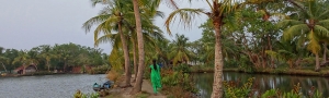 Pure-Kerala-Tours-banner-canals