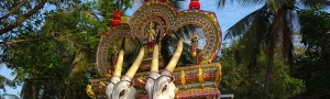 Pure-Kerala-Tours-banner-festival-float